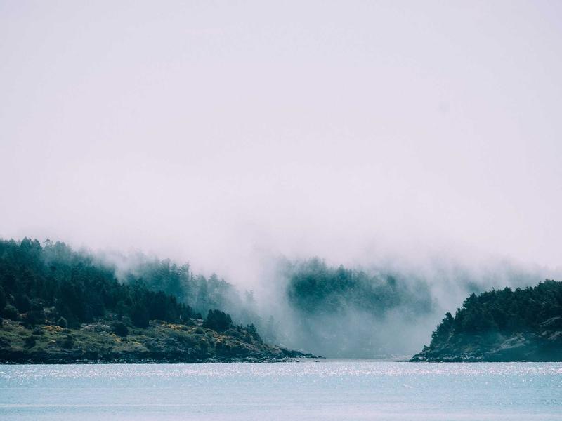 feedback screenshot 2